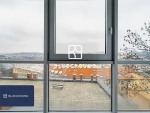 Pronájem bytu 2+kk, Praha - Vinohrady, U Zvonařky, 60 m2