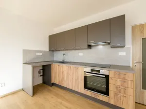 Pronájem bytu 1+kk, Planá, Bohušova, 31 m2