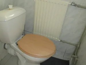 Pronájem bytu 2+1, Stříbro, Boženy Němcové, 62 m2