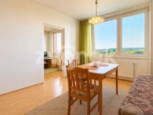 Prodej bytu 1+1, Otrokovice, SNP, 35 m2