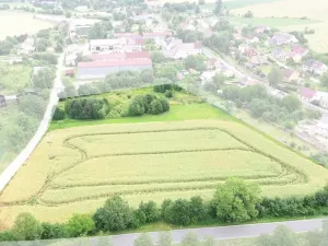 Prodej komerčního pozemku, Bernartice, 21716 m2