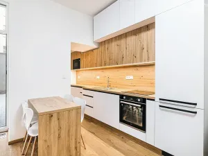 Pronájem bytu 2+kk, Brno, Stavební, 50 m2