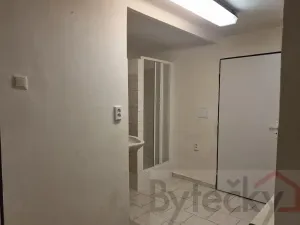 Pronájem bytu 1+1, Praha - Strašnice, Srbínská, 24 m2