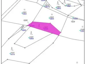 Prodej lesa, Nemile, 323 m2