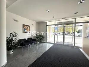 Pronájem kanceláře, Brno, 110 m2