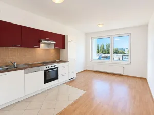 Pronájem bytu 1+kk, Praha - Hloubětín, Nademlejnská, 26 m2