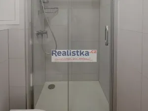 Pronájem bytu 3+1, Plzeň, Pod Záhorskem, 77 m2