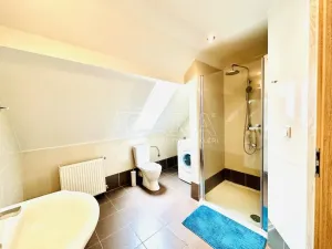 Prodej rodinného domu, Chlumany, 200 m2