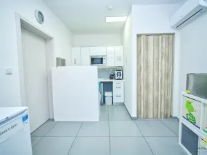 Prodej rodinného domu, Břeclav, Národních hrdinů, 130 m2