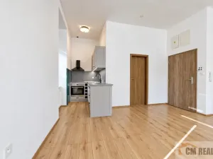 Pronájem bytu 2+kk, Olomouc - Hodolany, Holická, 48 m2