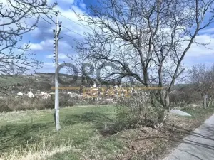 Prodej pole, Osvětimany, 2416 m2