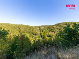 Prodej lesa, Lomnice, 7450 m2