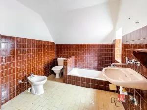 Prodej rodinného domu, Březnice, Za sokolovnou, 236 m2