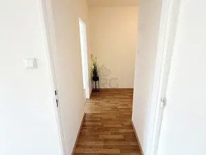 Prodej bytu 2+kk, Libčice nad Vltavou, Pod Saharou, 45 m2