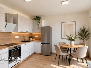 Pronájem bytu 2+kk, Praha, Haenkeho, 43 m2
