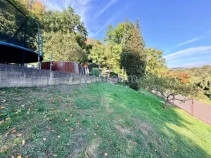 Prodej chaty, Ústí nad Labem - Olešnice, 33 m2