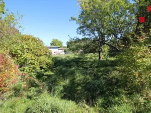 Prodej zahrady, Nové Město pod Smrkem, Husova, 468 m2