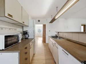 Prodej komerční nemovitosti, Velké Losiny, Komenského, 260 m2