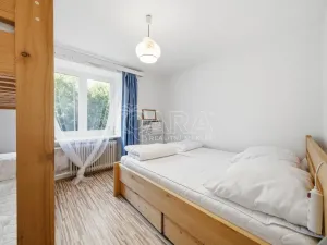 Prodej komerční nemovitosti, Velké Losiny, Komenského, 260 m2