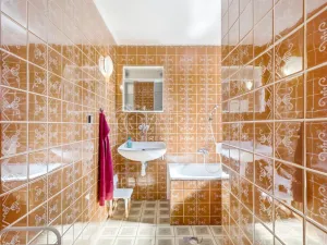 Prodej komerční nemovitosti, Velké Losiny, Komenského, 260 m2
