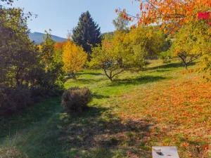 Prodej pozemku pro bydlení, Zlatá Koruna - Plešovice, 1647 m2