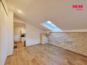 Pronájem bytu 1+1, Mariánské Lázně, Třebízského, 29 m2