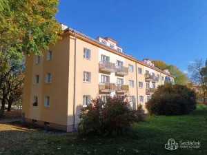 Prodej bytu 2+1, Horní Slavkov, Dlouhá, 69 m2