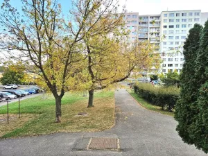 Prodej bytu 2+kk, Praha - Horní Měcholupy, Boloňská, 44 m2