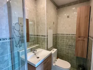 Pronájem bytu 3+1, Habartov, Karla Čapka, 69 m2