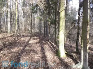 Prodej pozemku, Novosedly nad Nežárkou, 15643 m2
