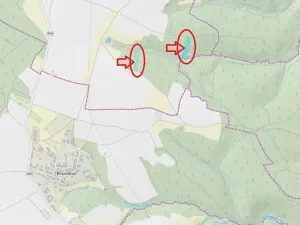 Prodej lesa, Deblín, 5345 m2