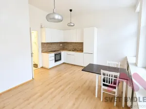 Pronájem bytu 2+kk, Praha - Žižkov, Kubelíkova, 44 m2