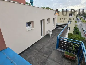 Pronájem bytu 4+1, Praha - Břevnov, Na Petřinách, 105 m2