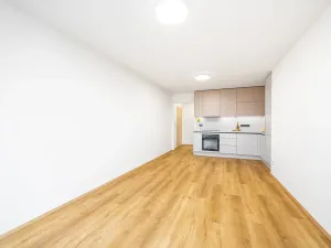 Prodej bytu 2+kk, Praha - Chodov, Petýrkova, 55 m2