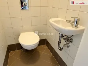 Pronájem bytu 2+kk, Praha - Bubeneč, Šmeralova, 84 m2