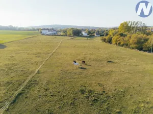 Prodej zemědělské usedlosti, Stříbro, 200 m2