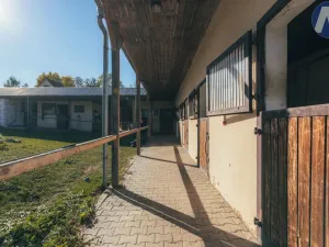 Prodej zemědělské usedlosti, Stříbro, 200 m2