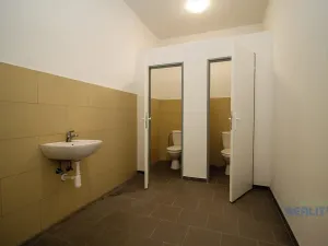 Pronájem skladu, Brandýs nad Labem-Stará Boleslav, Pražská, 440 m2