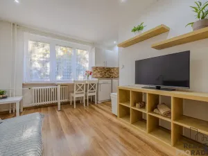 Pronájem bytu 1+kk, Ostrava, Bajkalská, 25 m2