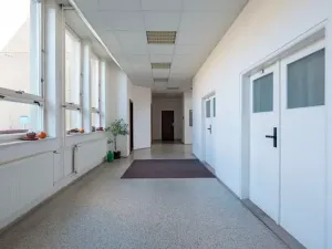 Prodej komerční nemovitosti, Koryčany, Masarykova, 52235 m2