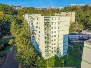 Prodej bytu 1+kk, Ústí nad Labem, Vinařská, 32 m2