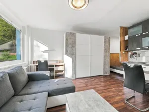 Prodej bytu 1+kk, Ústí nad Labem, Vinařská, 32 m2