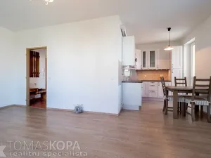Pronájem bytu 1+kk, Odolena Voda, Pod Tvrzí, 42 m2