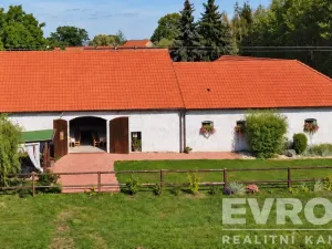 Prodej komerční nemovitosti, Borovy, 500 m2