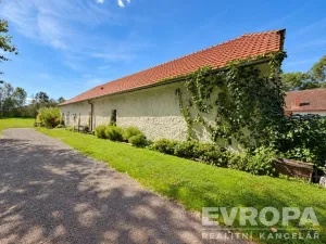 Prodej komerční nemovitosti, Borovy, 500 m2