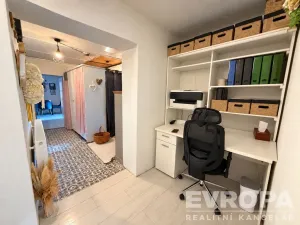 Prodej komerční nemovitosti, Borovy, 500 m2