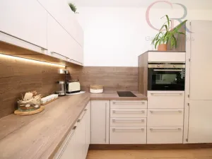 Pronájem bytu 1+kk, Plzeň - Jižní Předměstí, Inženýrská, 50 m2