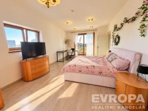Pronájem bytu 3+kk, Plzeň - Jižní Předměstí, U Borského parku, 153 m2