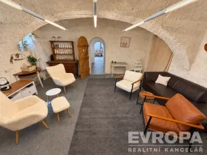 Prodej rodinného domu, Borovy, 500 m2