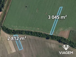 Prodej podílu pole, Podivín, 1703 m2